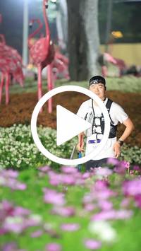 BIB:  <button type="button" onclick="openModal(27591081)" class="btn btn-primary btn-sm float-right" data-toggle="modal" data-target=".modal-high-quality">
                <i class="fa fa-download"></i> Download
                </button>